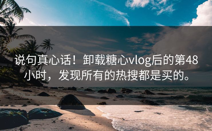 说句真心话！卸载糖心vlog后的第48小时，发现所有的热搜都是买的。