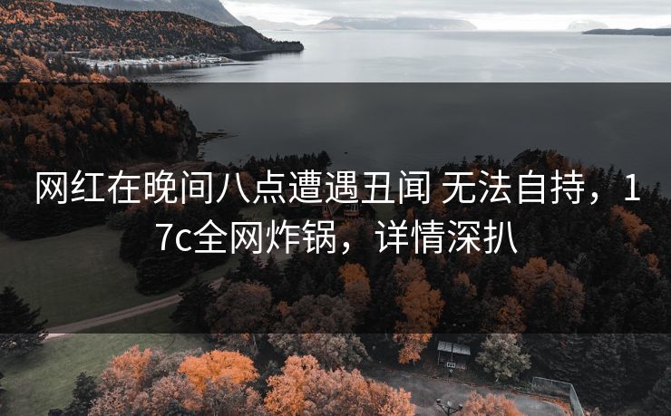 网红在晚间八点遭遇丑闻 无法自持，17c全网炸锅，详情深扒