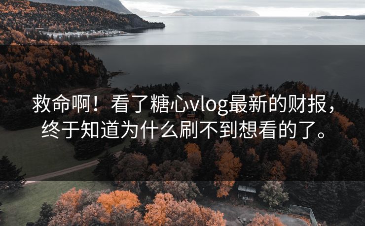 救命啊！看了糖心vlog最新的财报，终于知道为什么刷不到想看的了。