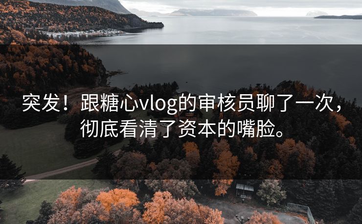 突发！跟糖心vlog的审核员聊了一次，彻底看清了资本的嘴脸。